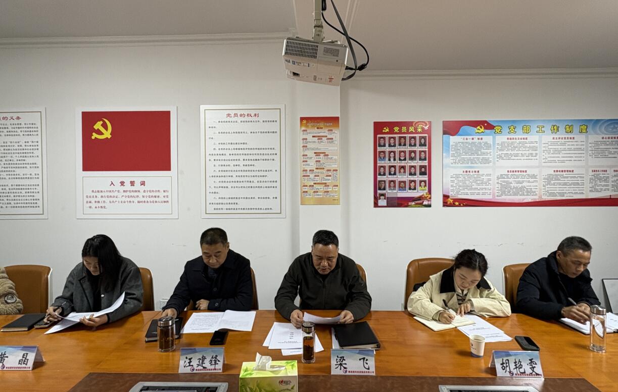 国投集团党委召开2024年度党支部书记 抓基层党建工作述职评议会